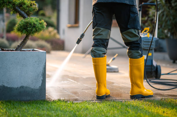 Best Affordable Pressure Washing  in South Miami, FL